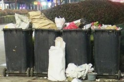 宝应县城区多处垃圾桶旁为何常见垃圾？