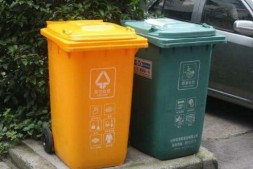 主要街道取消垃圾桶扔垃圾不分类或被罚款